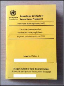 ​“Yellow Book” 不是 “小黄书”，不知道真糗大了！