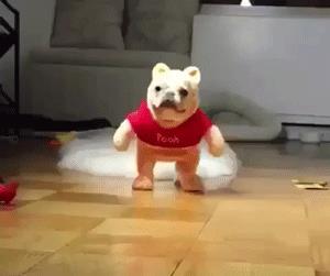 “What a shame”不是“多可耻