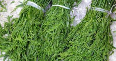 ​此物是癌症的“死对头”终于被找到了，怕得癌的不妨常食！