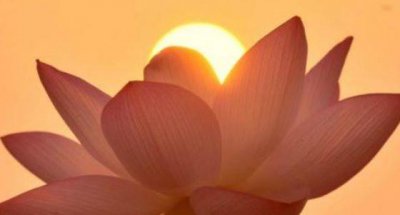 ​描述荷花的五首诗词：荷花是圣洁的代表，更是佛教神圣净洁的象征