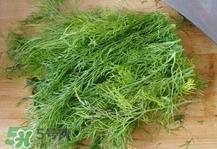 茴香菜是什么菜？茴香菜是香菜吗