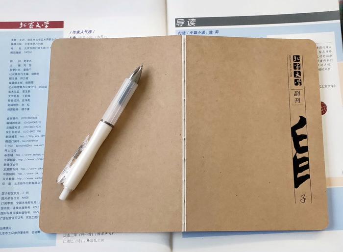 天下中文| 杜怀超《一座村庄的现代抵达》(散文)