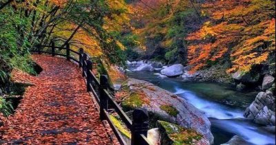 ​秦岭深处的异域空间，即便再忙也要抽出时间，去黄柏塬看一看