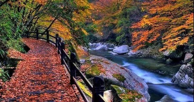 秦岭深处的异域空间,即便再忙也要抽出时间,去黄柏塬看一看