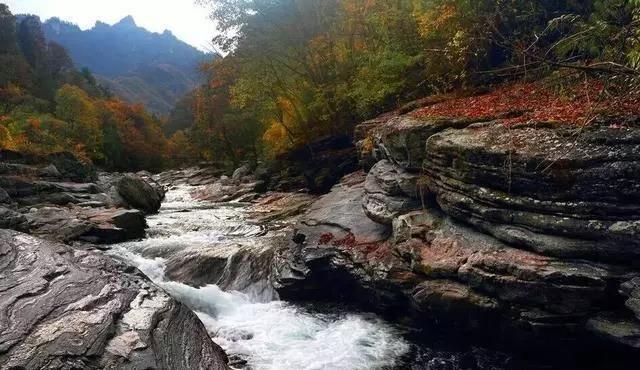 秦岭深处的异域空间,即便再忙也要抽出时间,去黄柏塬看一看