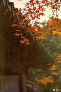 ​无爱婚姻的真相：不是爱情的消亡殆尽，而是信任的破裂不堪