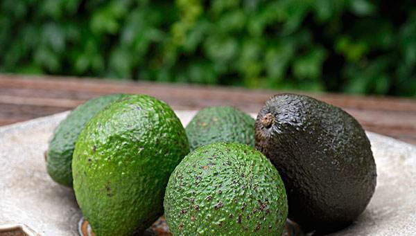 牛油果奶昔的做法,经常吃牛油果不仅防晒还能美容护肤