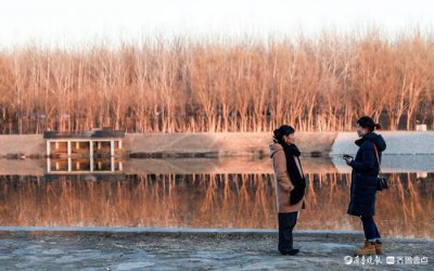 ​记者手记|在人间“捞月亮”的范雨素