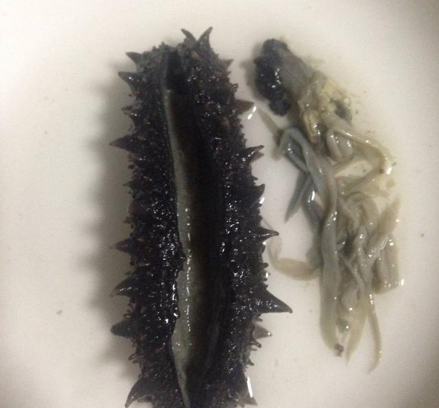 生活小窍门:盐渍海参的几种家常做法