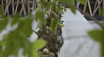 蒋家最帅曾孙：我不是“蒋家第四代”，我是蒋友柏