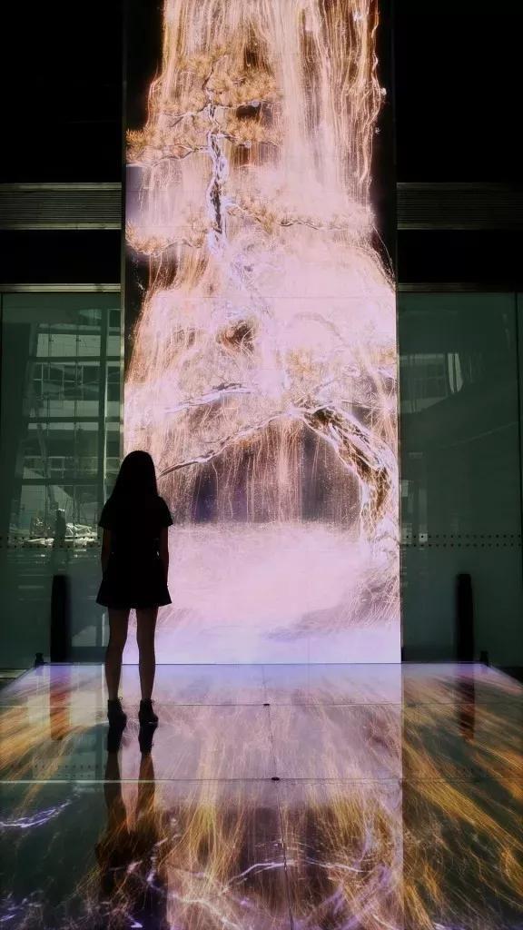 蒋家最帅曾孙：我不是“蒋家第四代”，我是蒋友柏