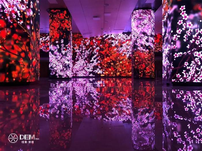 蒋家最帅曾孙：我不是“蒋家第四代”，我是蒋友柏