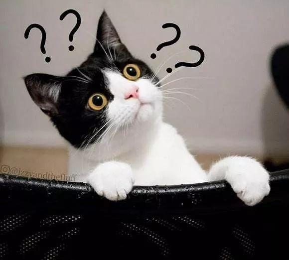 33岁吸毒10年，丈夫同房需付费？一代国民女神是如何毁掉自己的