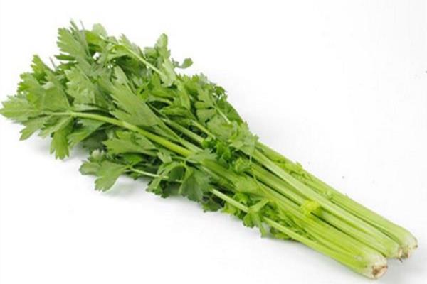 芹菜可以直接生吃吗 芹菜可以直接榨汁喝吗 芹菜可以直接生吃吗 芹菜可以直接榨汁喝吗