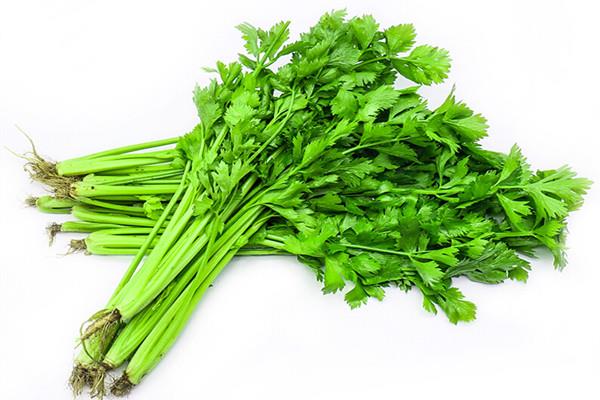 芹菜可以直接生吃吗 芹菜可以直接榨汁喝吗 芹菜可以直接生吃吗 芹菜可以直接榨汁喝吗