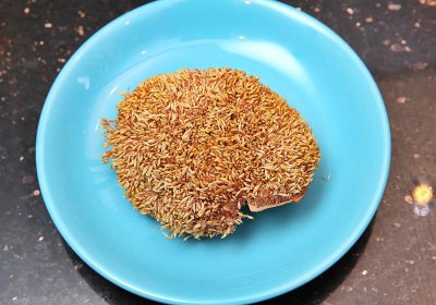 ​爱玉怎么吃 爱玉的做法