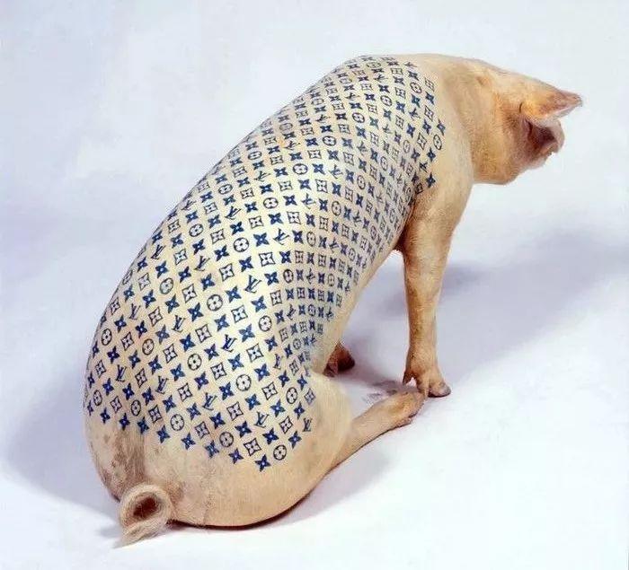 猪年画猪,艺术大师是怎么画猪的?