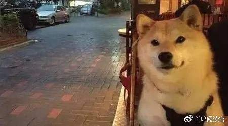 相了那么多次亲，怎么依然脱不了单？