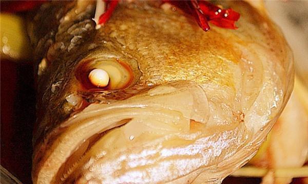 用微波炉来蒸鱼，做法更简单，鱼肉更美味！