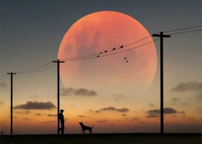 ​珍爱网交388后能联系吗？怎么样才能保证自己的感情比较稳定