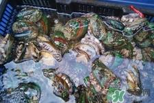 男人吃鲍鱼能补肾吗?肾虚能吃鲍鱼吗? 男人吃鲍鱼能补肾吗?肾虚能吃鲍鱼吗?