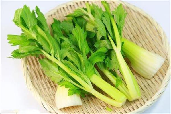 芹菜杀精是真的吗 芹菜有什么功效和作用