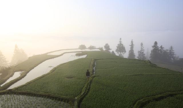 西南有一个苗族部落文化传承数千年，居民还可以配枪