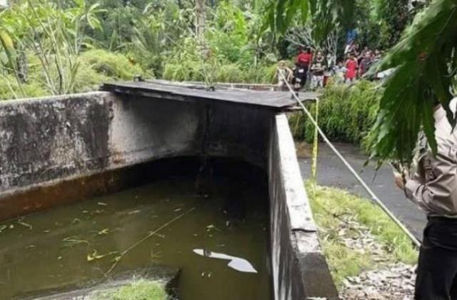 真相！女科学家被鳄鱼吃掉是怎么回事？背后事情经过始末详情