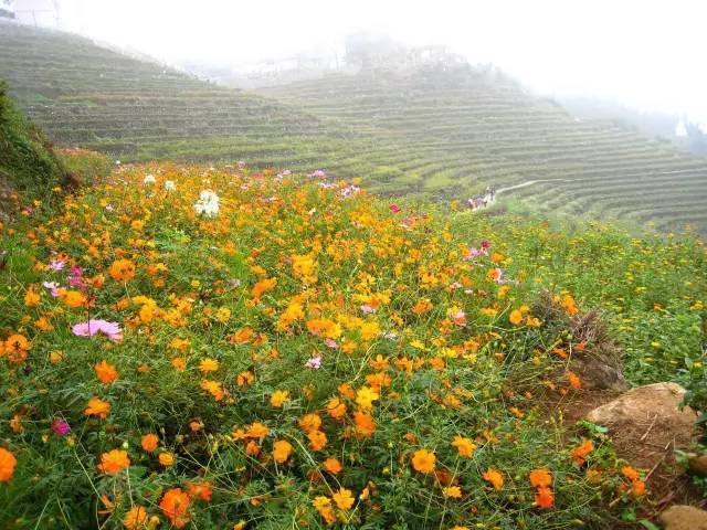 不用去张家界，福州人有自己的玻璃栈道啦！约吗？