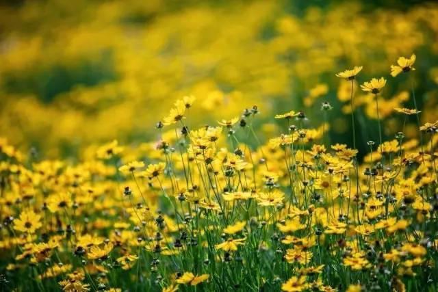 不用去张家界，福州人有自己的玻璃栈道啦！约吗？