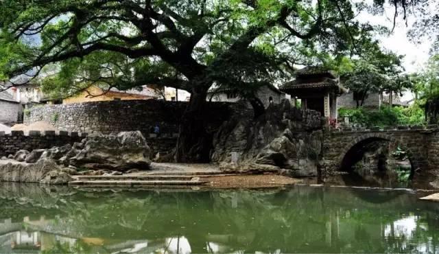 不用去张家界，福州人有自己的玻璃栈道啦！约吗？