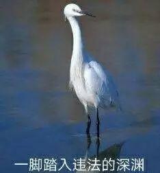 从都市传说变成下一个蓝鲸游戏，“momo女孩”会诱导孩子自杀？！