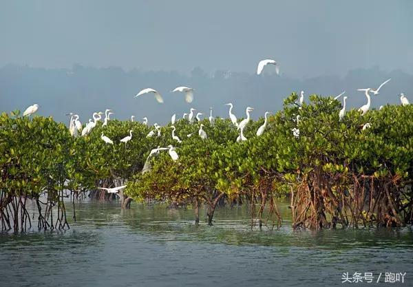 仙境之路:一条路满足你对广西所有幻想!