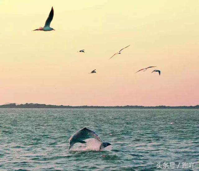 仙境之路:一条路满足你对广西所有幻想!