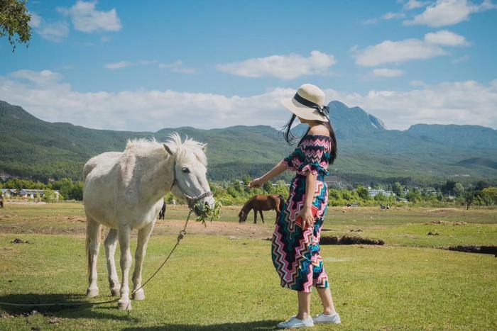 丽江拉市海茶马古道+千古情精品一日游攻略,带你玩转真正的拉市海。