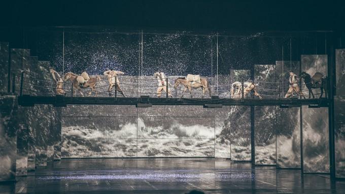 丽江拉市海茶马古道+千古情精品一日游攻略,带你玩转真正的拉市海。