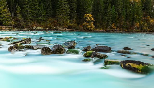 “人间天堂”——喀纳斯,随便一处风景也能足够惊艳你的眼!