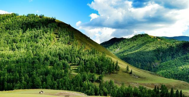 “人间天堂”——喀纳斯,随便一处风景也能足够惊艳你的眼!