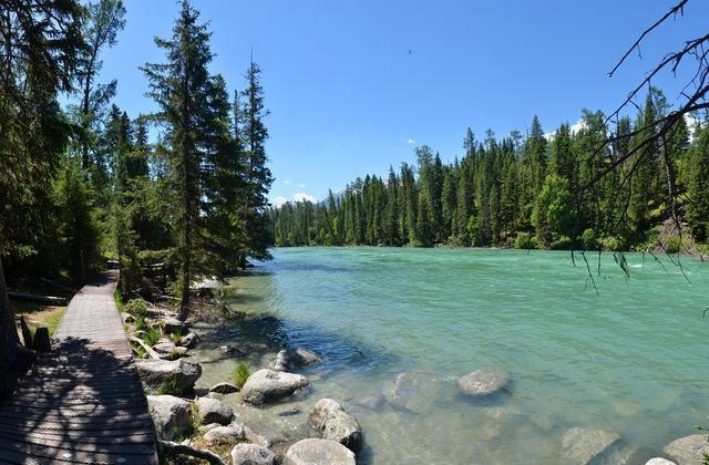 “人间天堂”——喀纳斯,随便一处风景也能足够惊艳你的眼!