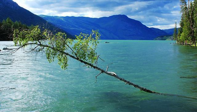 “人间天堂”——喀纳斯,随便一处风景也能足够惊艳你的眼!