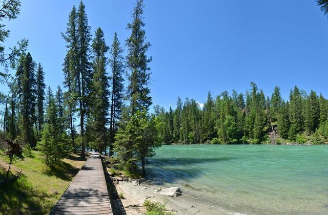 “人间天堂”——喀纳斯,随便一处风景也能足够惊艳你的眼!