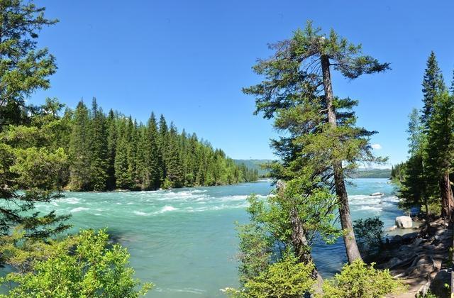“人间天堂”——喀纳斯,随便一处风景也能足够惊艳你的眼!
