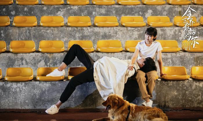 盘点10部必看高甜校园偶像剧,颜值爆表、简单又纯粹的心动