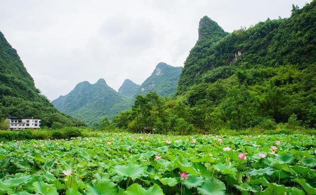 桂林阳朔的这处田园景观,被称为十里画廊,景色真的如诗如画吗?