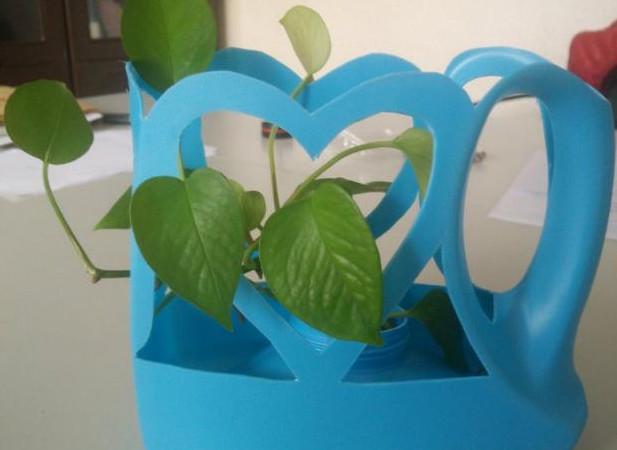 洗衣液的空瓶子别再当废塑料扔掉了,动手一剪变成好看个性的花盆