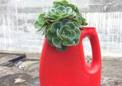 ​洗衣液的空瓶子别再当废塑料扔掉了，动手一剪变成好看个性的花盆