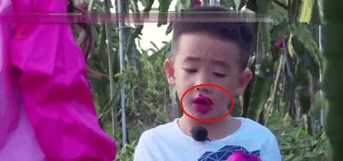 小吃货Jasper吃个火龙果竟吃出了梁朝伟同款“腊肠嘴”