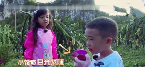 小吃货Jasper吃个火龙果竟吃出了梁朝伟同款“腊肠嘴”