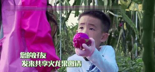 小吃货Jasper吃个火龙果竟吃出了梁朝伟同款“腊肠嘴”