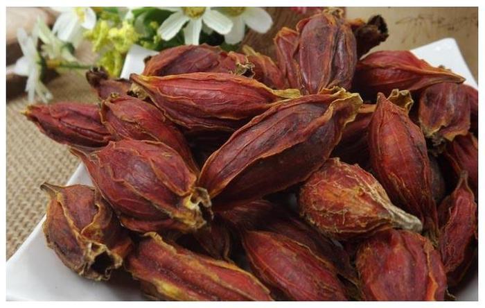 被人称之为“山栀子”的果子,能泻火除烦,以前农村很常见